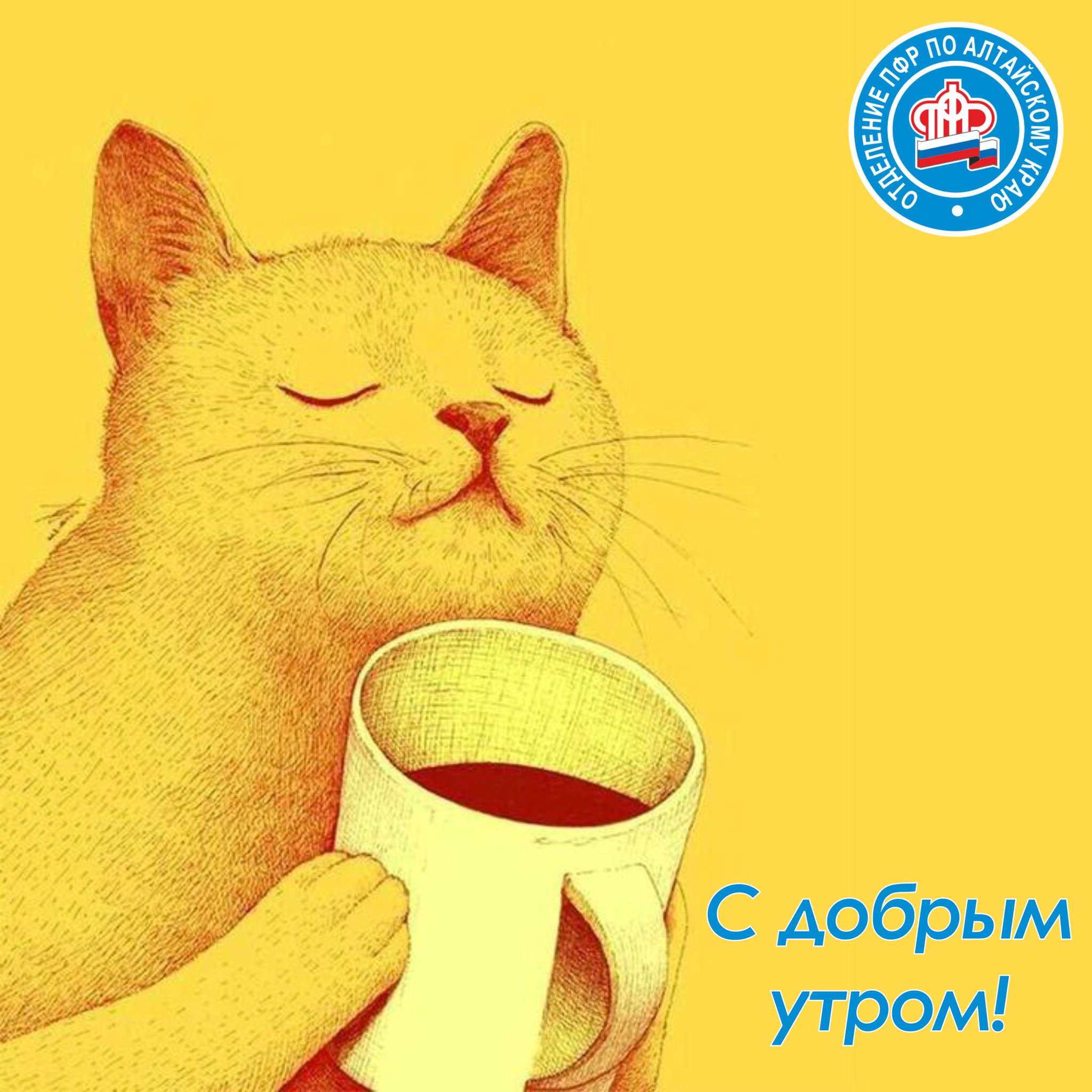 Утро доброе субботы прикольные картинки с надписями. Котик пьет кофе. Котик пьет чай. Кружка " кот, кофе". Доброе утро картинки прикольные.
