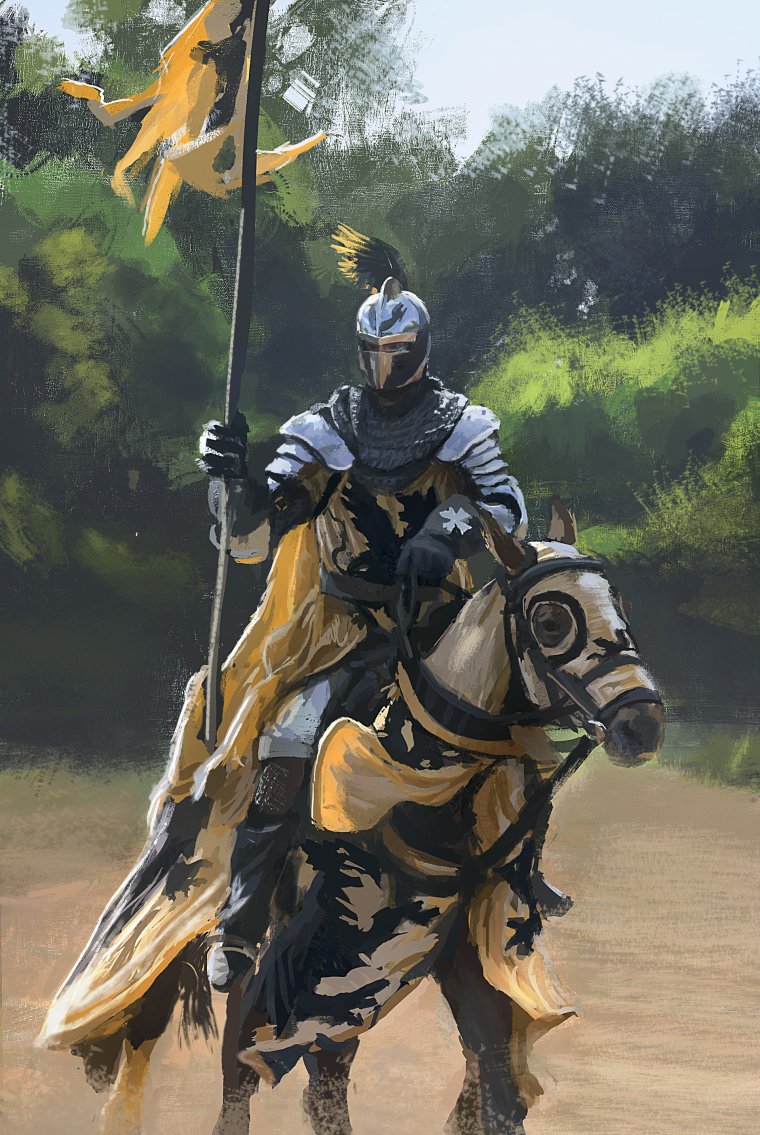 Рыцари средневековья (59 фото)