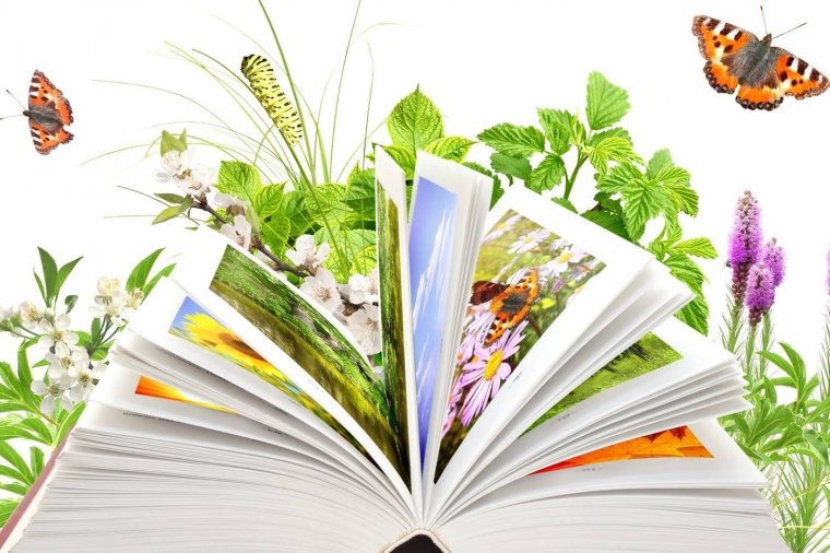 Фон детские книги