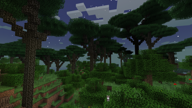Сумеречный лес twilight forest