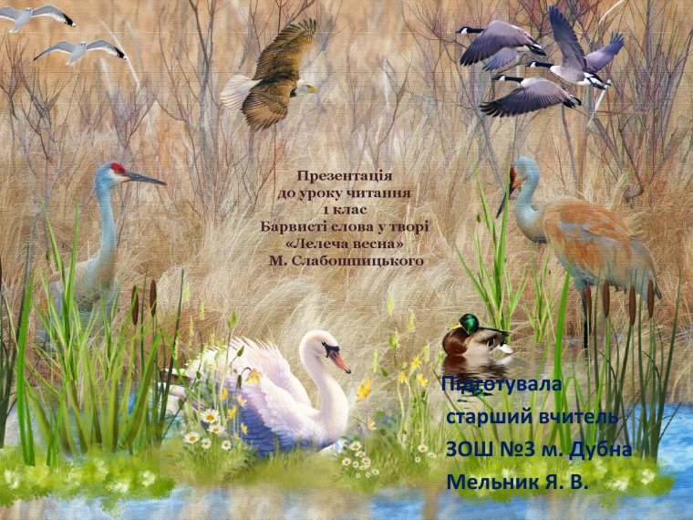 Природа птицы
