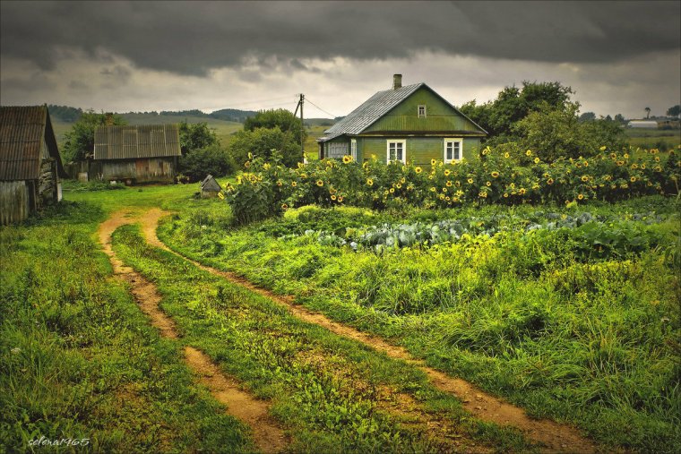 Жизнь в деревне