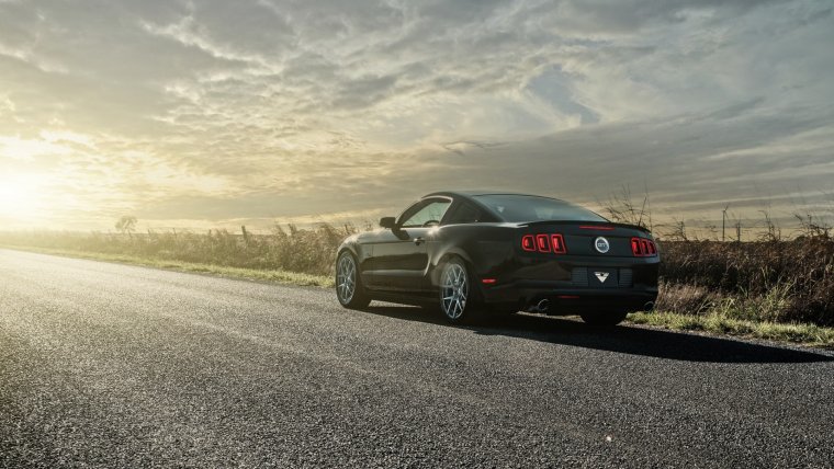 Ford Mustang V