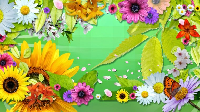 Рамки из летних цветов
