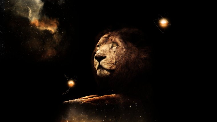 Лев wallpaper