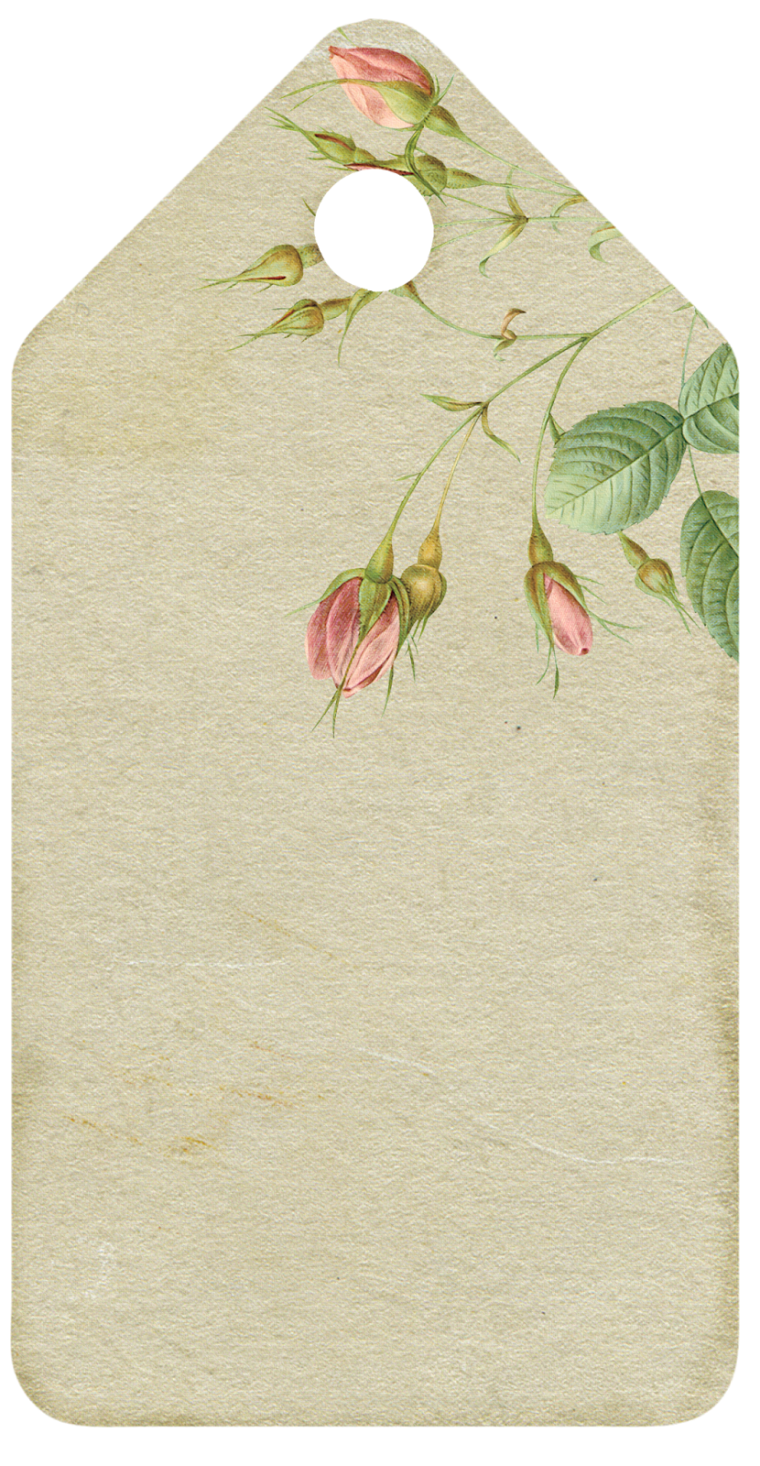 Этикетка винтаж