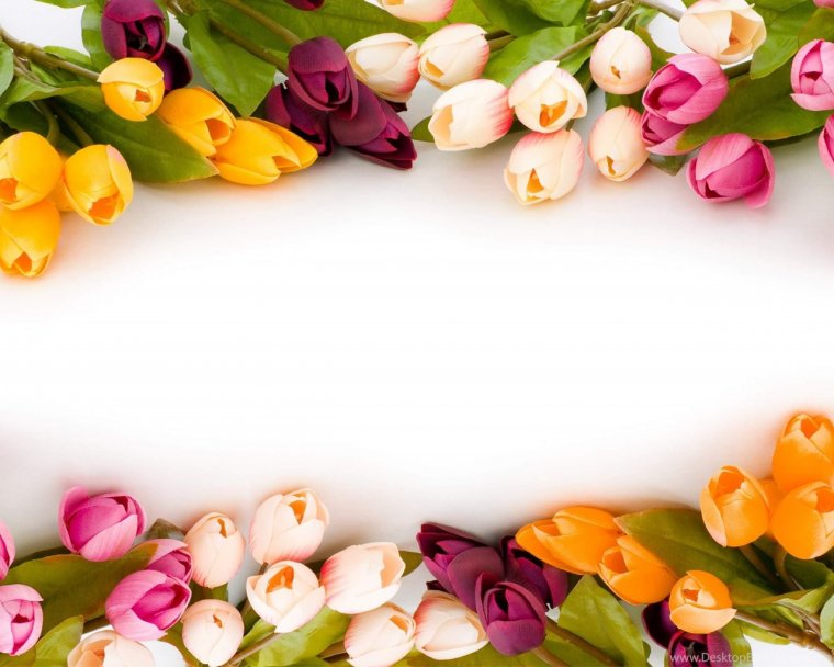 Поздравляю вас с 8 марта