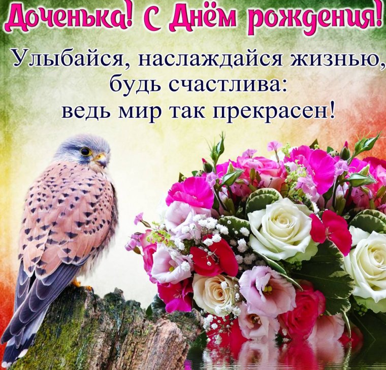 Красивые птицы
