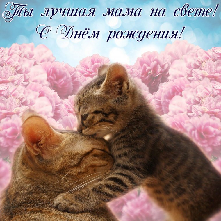 Мамочка любимая с днем рождения