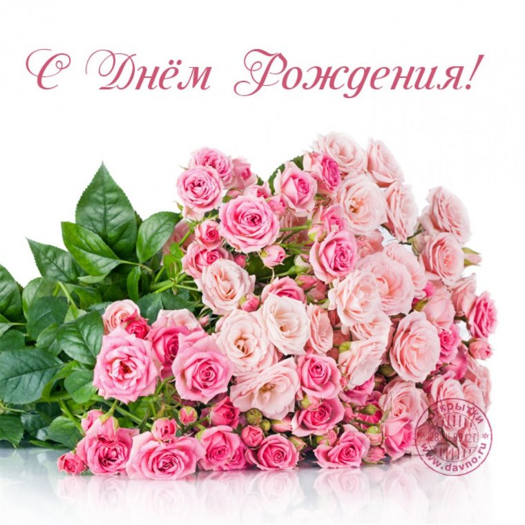 Розовые розы