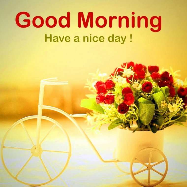 Цветы букет