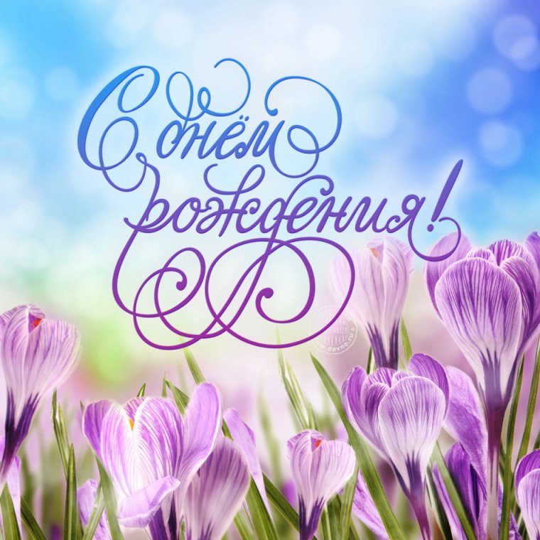 Поздравительные открытки с днём