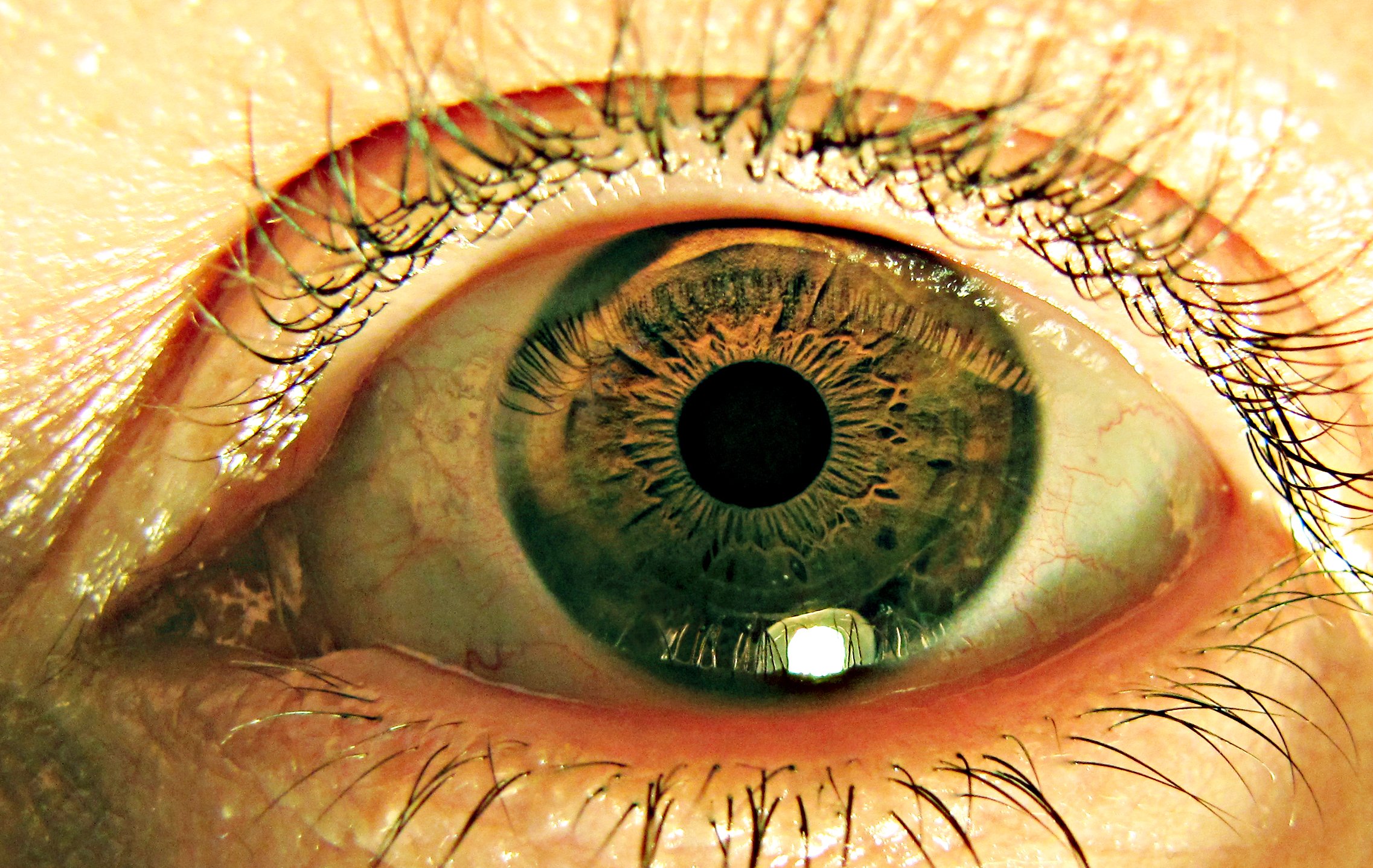 Глаз р. Макросъемка глаза человека. Глаз человека. Зрачок макро. Глаз крупным планом.