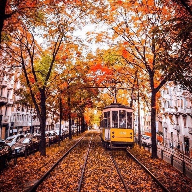 Осень в городе (60 фото)