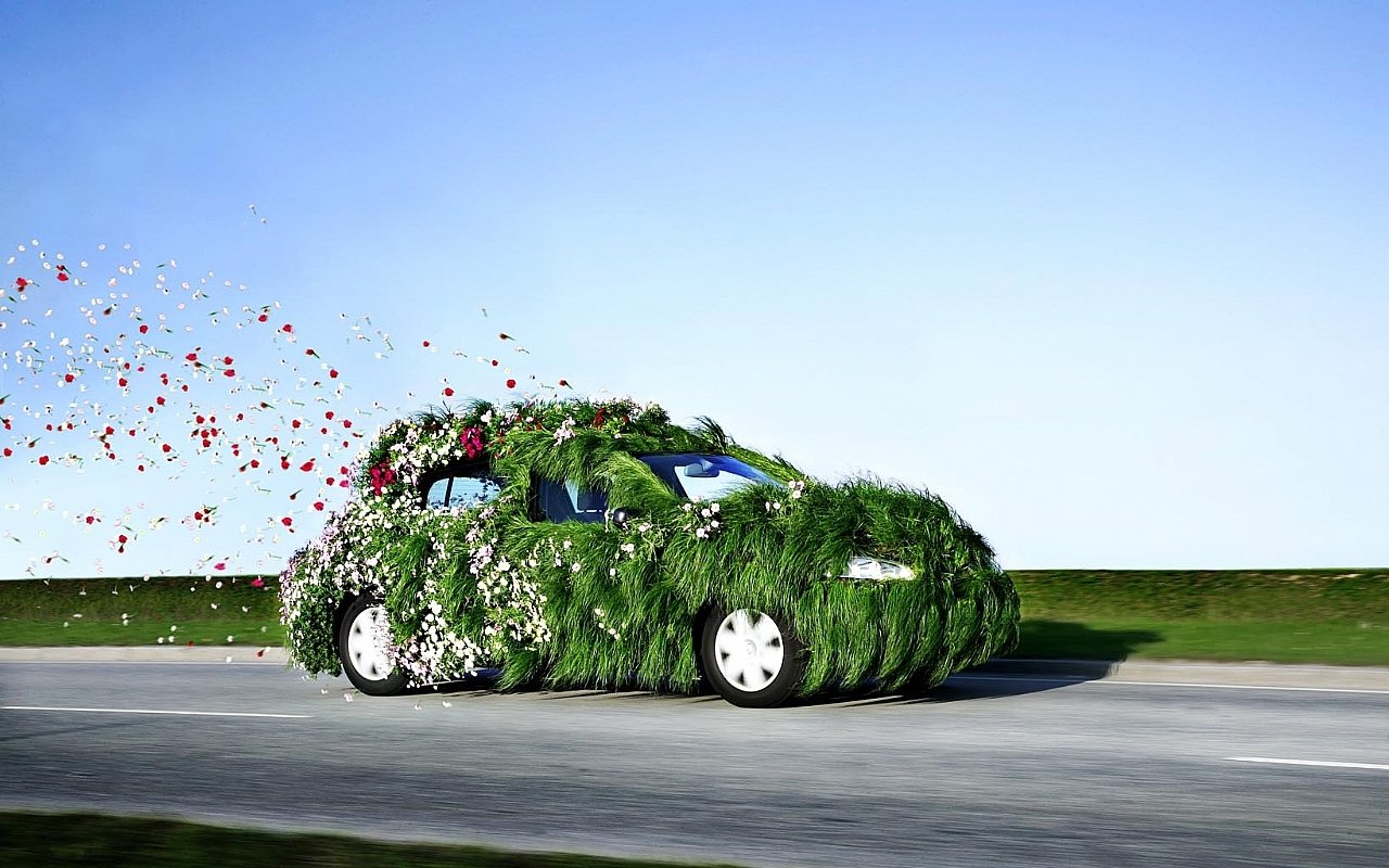 Грузовик с тюльпанами. Машина с цветами. Автомобиль лето. Креативный автомобиль. Машина на траве.