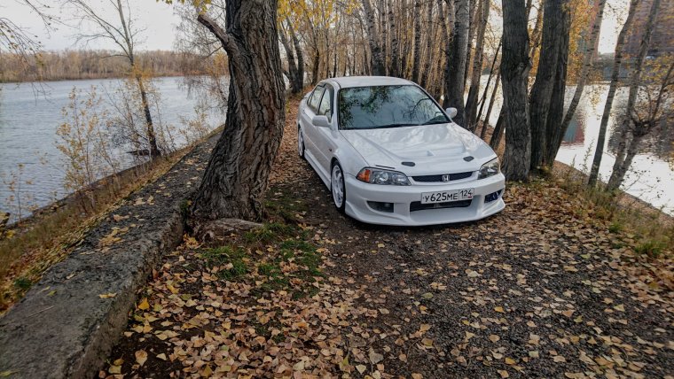 Хонда Торнео