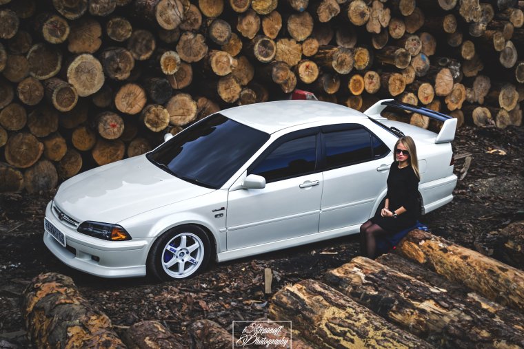 Хонда Торнео белая