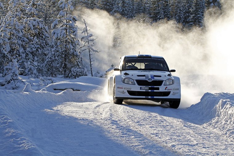 Зима Skoda Fabia ралли