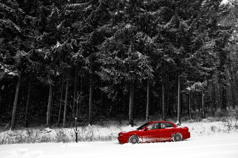 Автомобиль в Снежном лесу