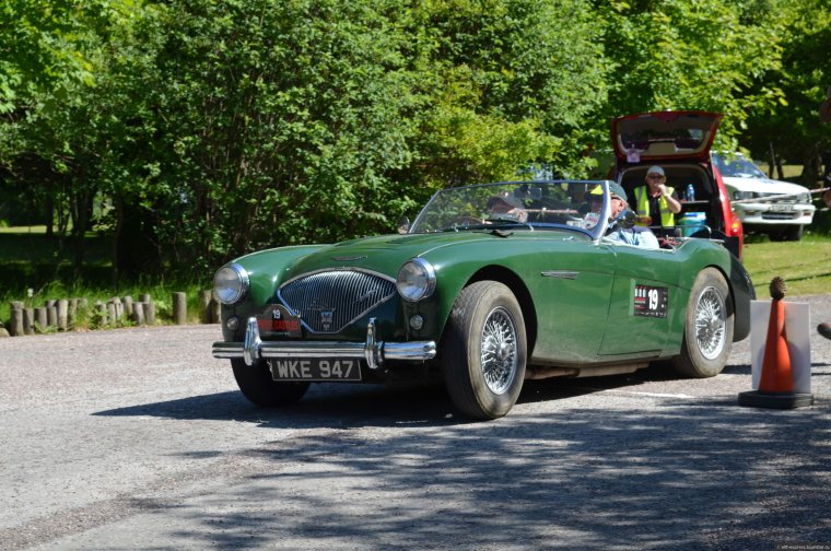 Chester машина