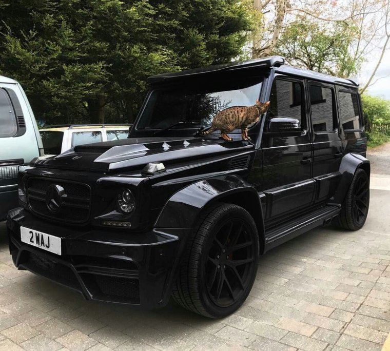 Onyx Mercedes-Benz g63 AMG