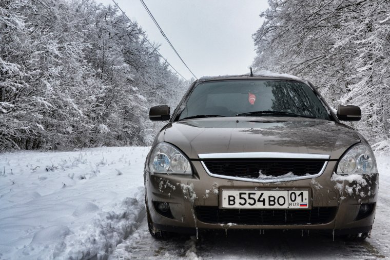 Приора кориандр зимой