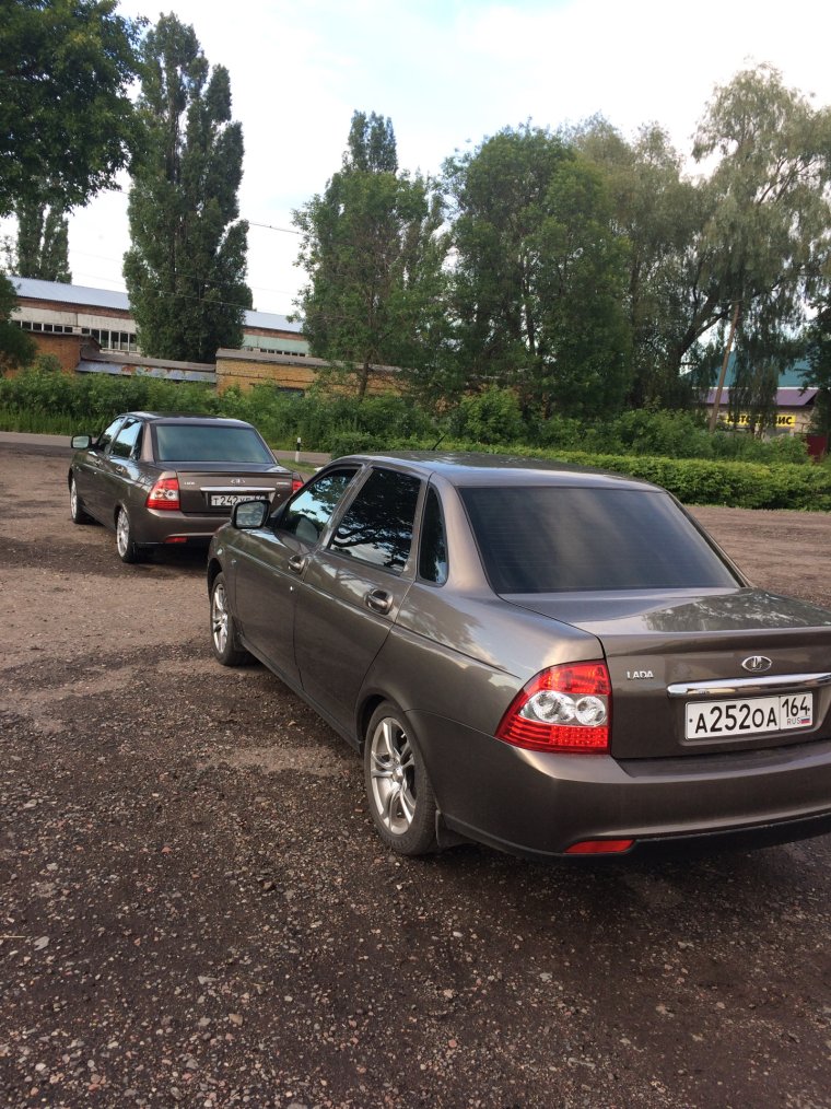 Приора кориандр