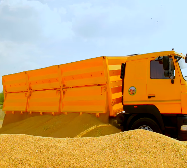 КАМАЗ С пшеницей