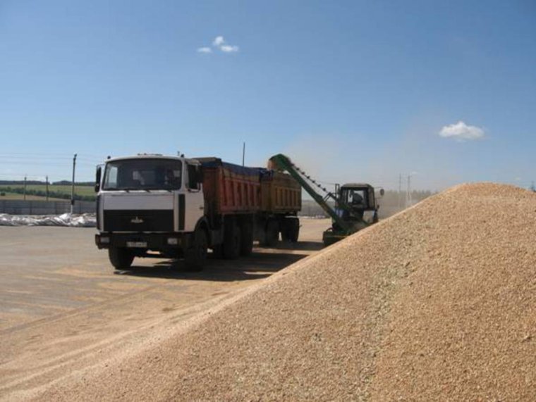 Буртование зерна