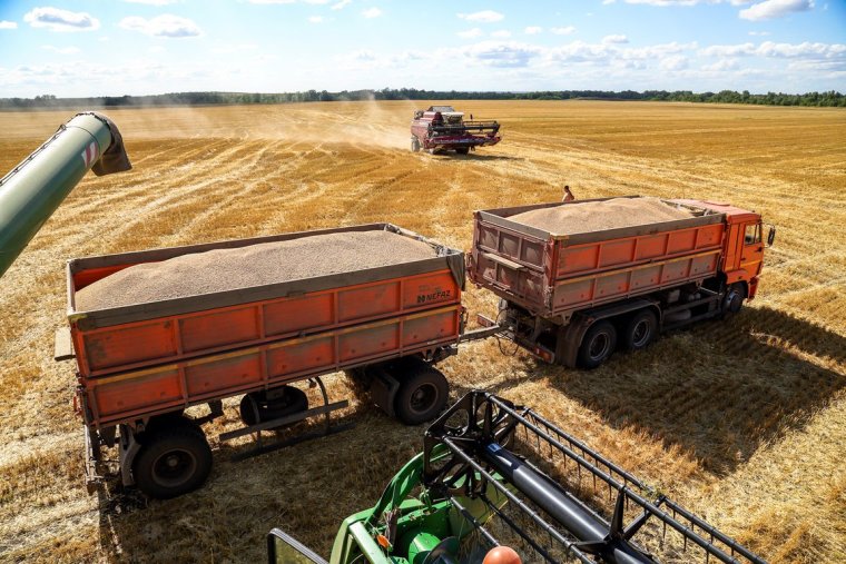 Грузовик с зерном