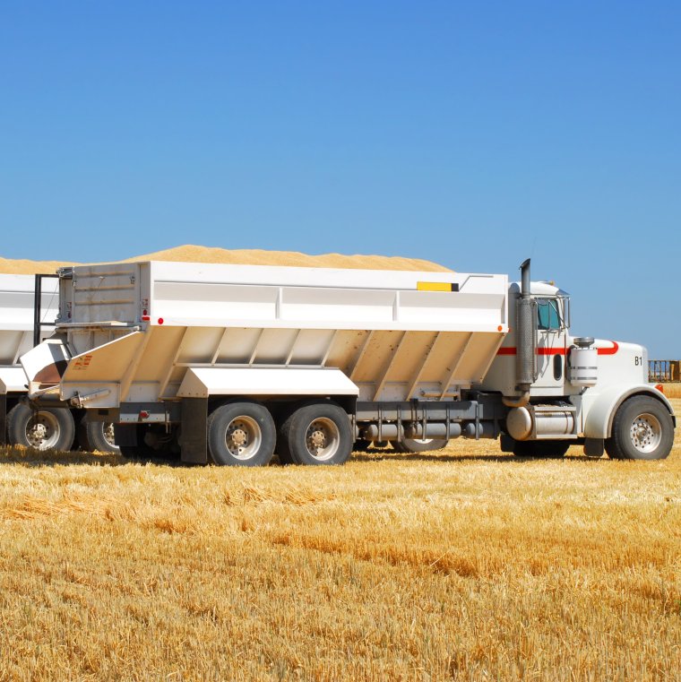 Машины для перевозок пшеницы