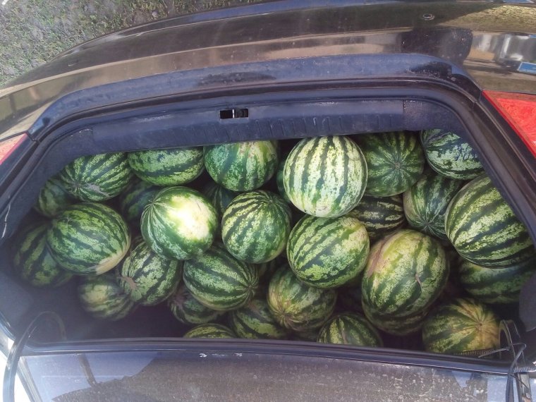 Машина Арбуз