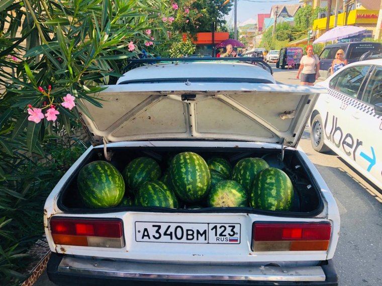 Почем арбузы