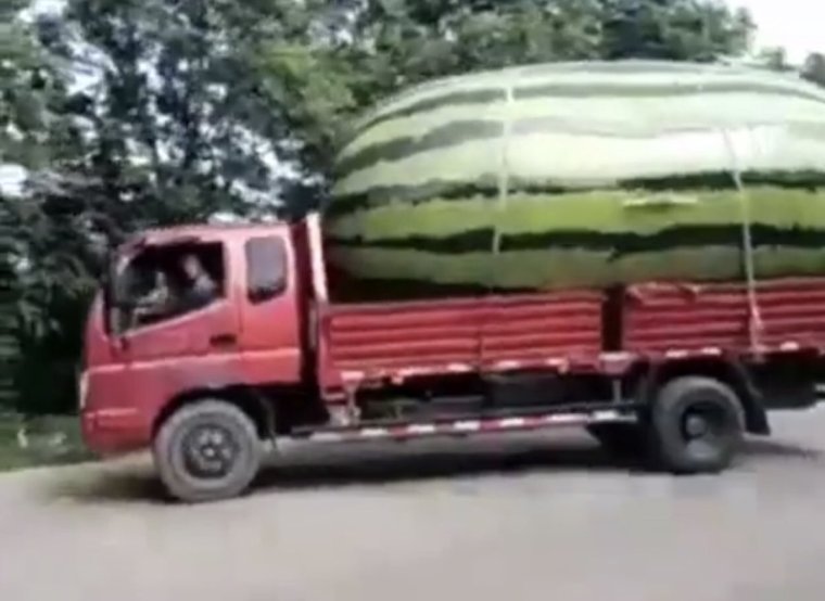 Прицеп с арбузами