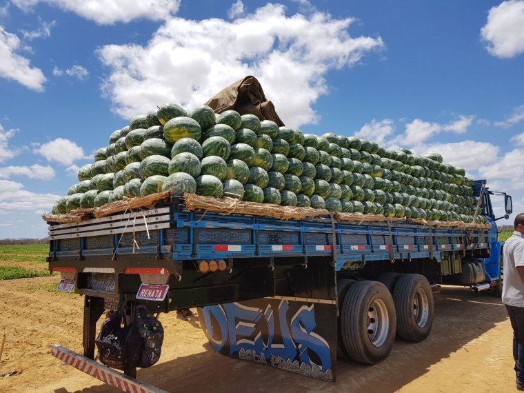 Фура с арбузами