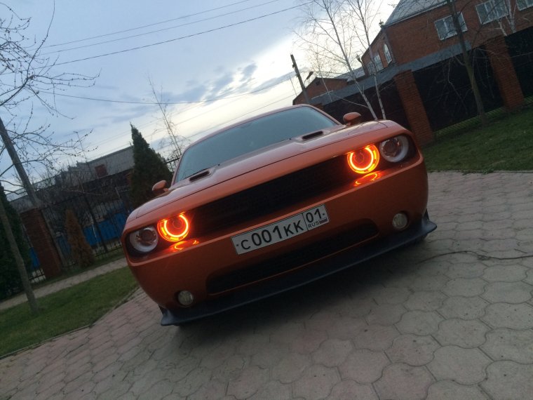 Додж слепая