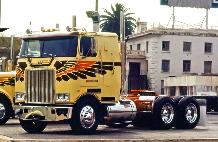 White freightliner Western Star