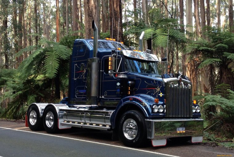 Кенворд машина американский