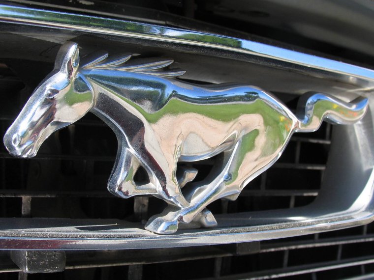 Ford Mustang с лошадью