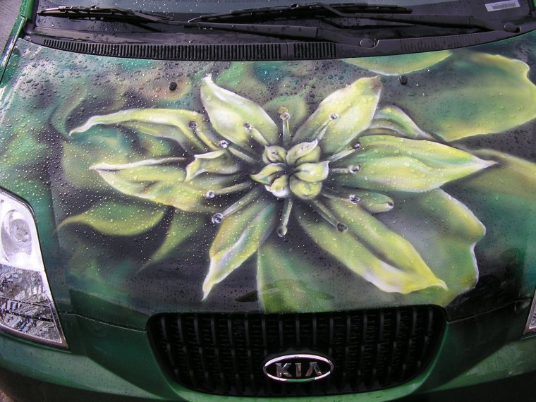 Аэрография на авто зеленого цвета