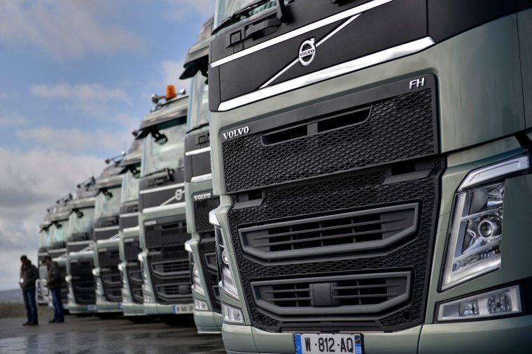 Ван Дамм 2021