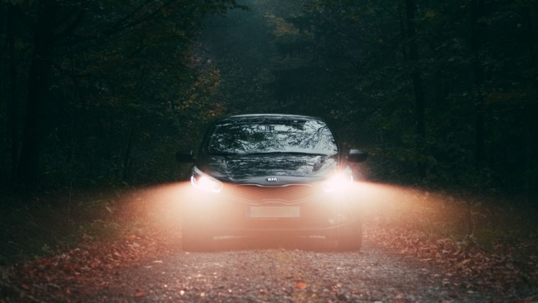Машина в лесу ночью