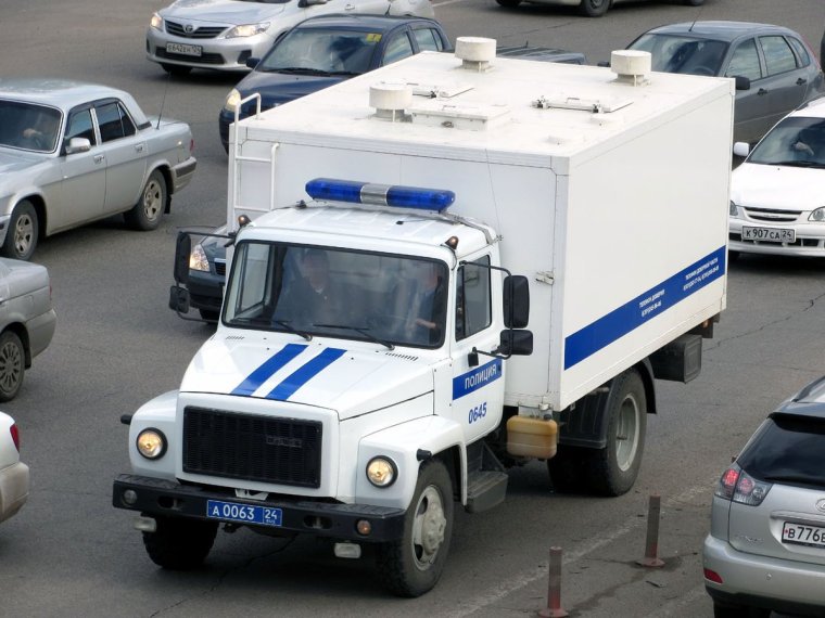 ГАЗ 3309 автозак