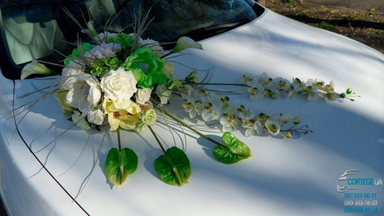 Цветы на капоте авто