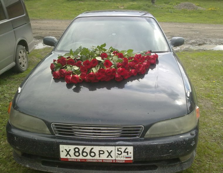 Розы на капоте машины