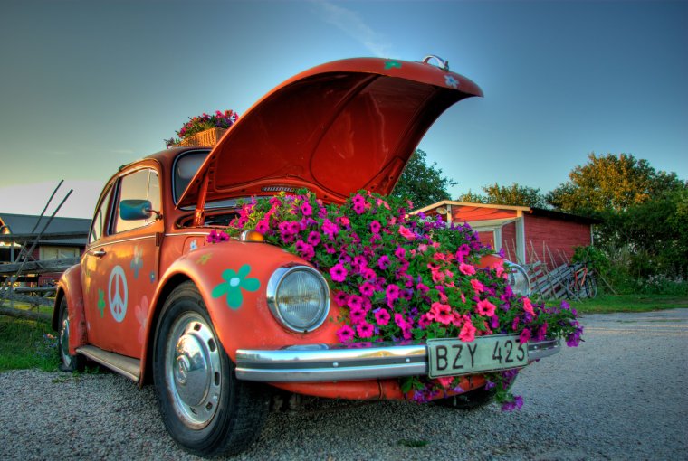 Машина с цветами