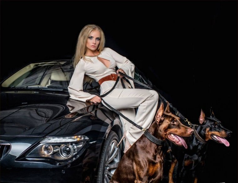 Доберман BMW