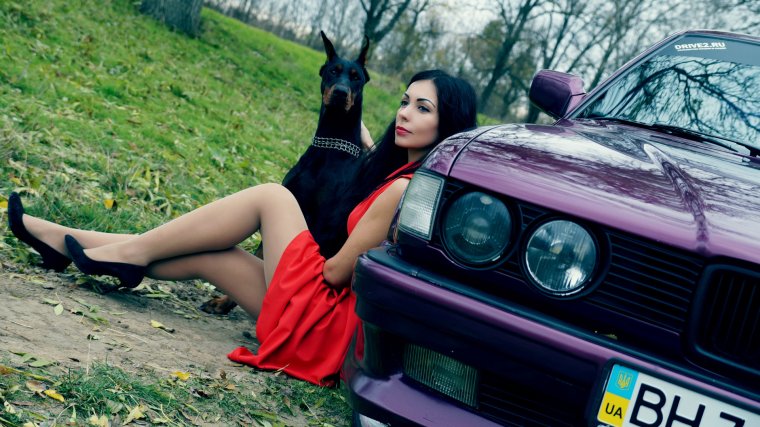 Доберман BMW