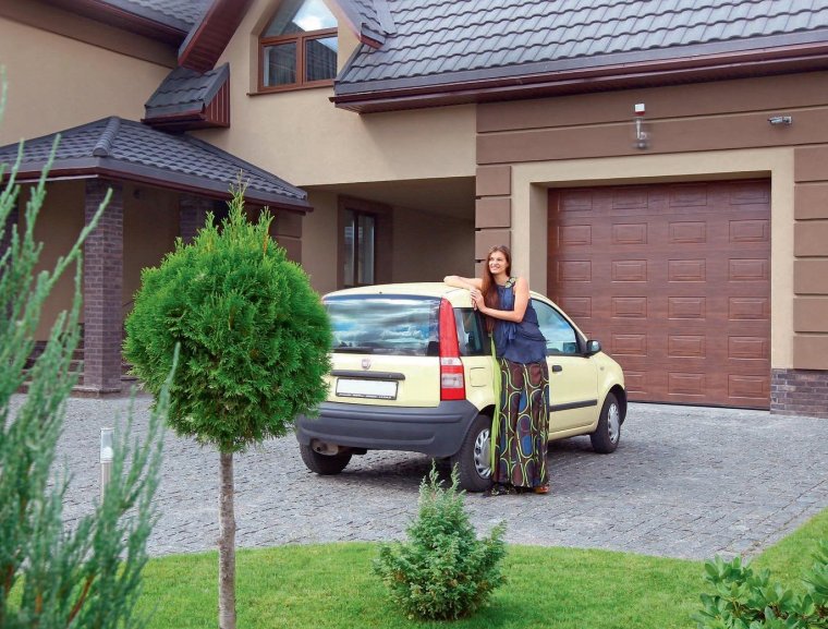 Ворота Алютех тренд