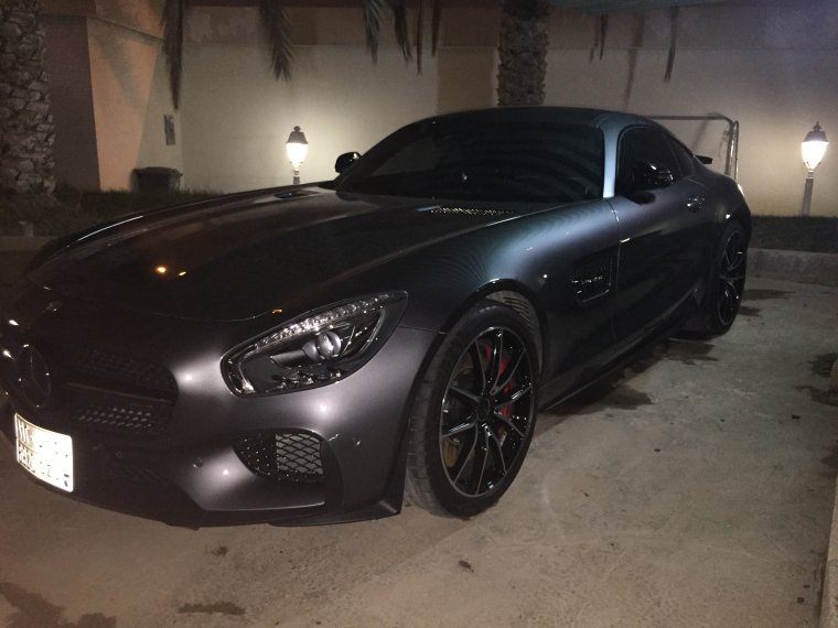 Черный мерин крокодил